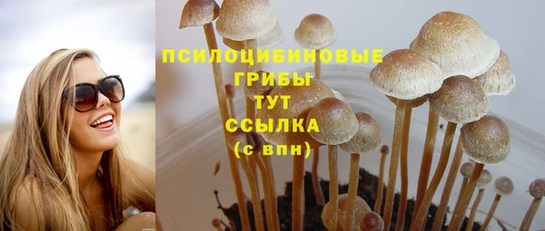 синтетический гашиш Няндома