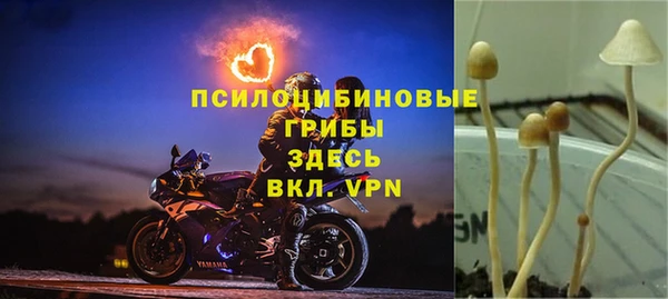 меф Воткинск