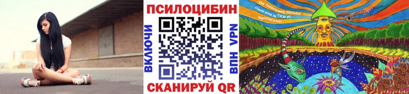 купить  цена  Калининск  Псилоцибиновые грибы мухоморы 