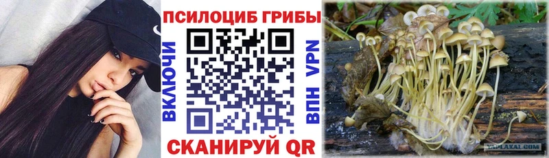 Псилоцибиновые грибы Cubensis Калининск